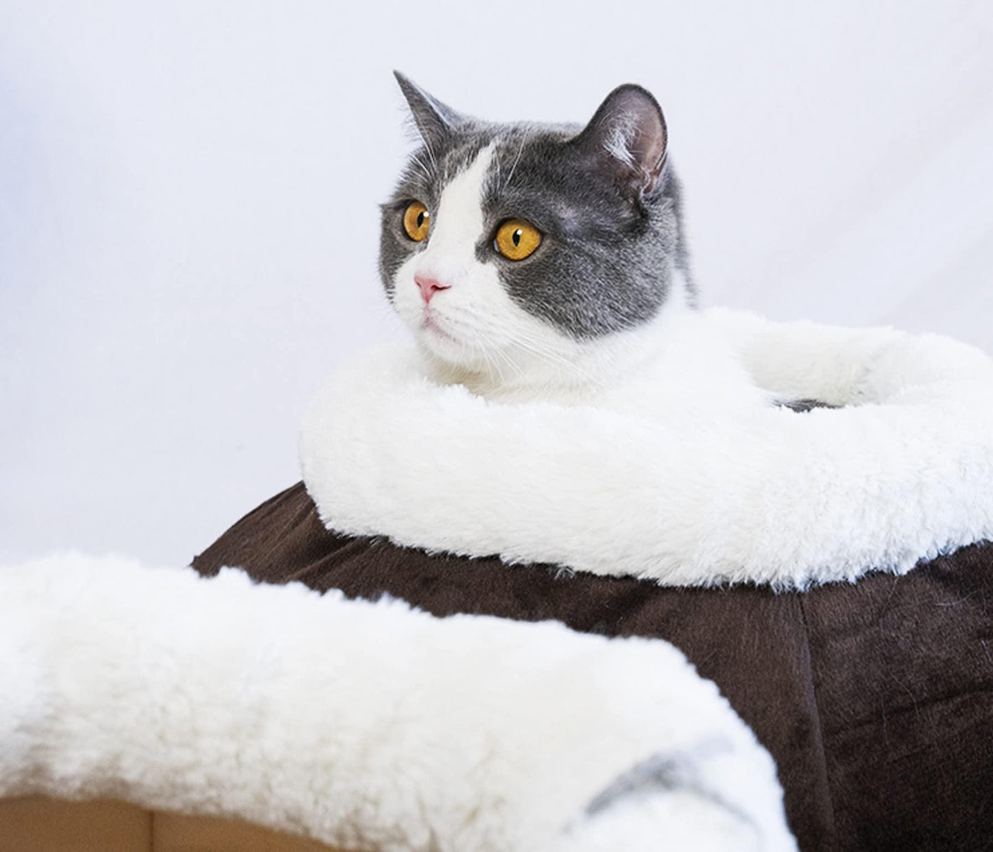 Cat Beds for Indoor Cats Cat Cave Bed Plush Round Soft Pet Tent with