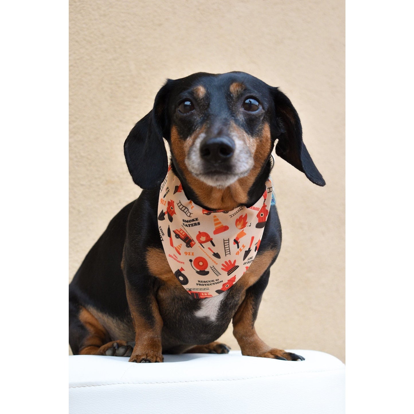 BlazePaws Firefighter Bandana