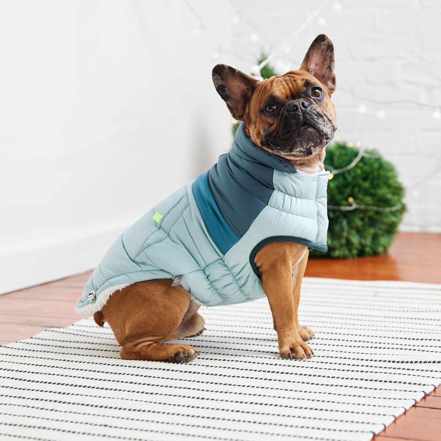 Retro Puffer Dog Jacket