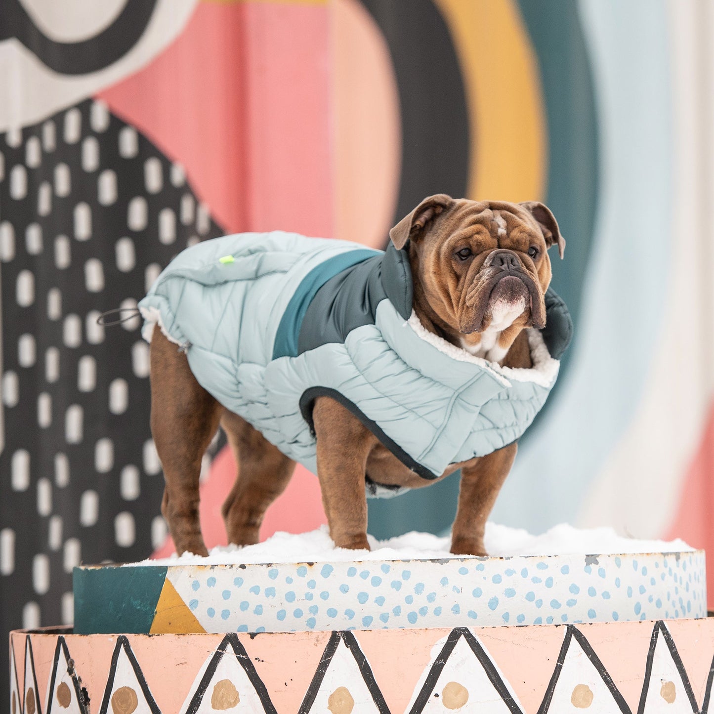Retro Puffer Dog Jacket