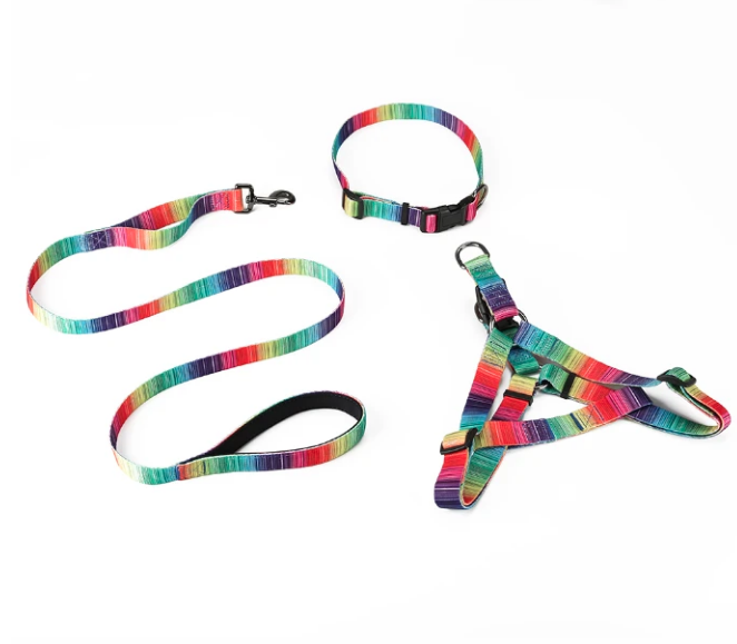 (LAST PIECES) Matching Leash & Collars Set