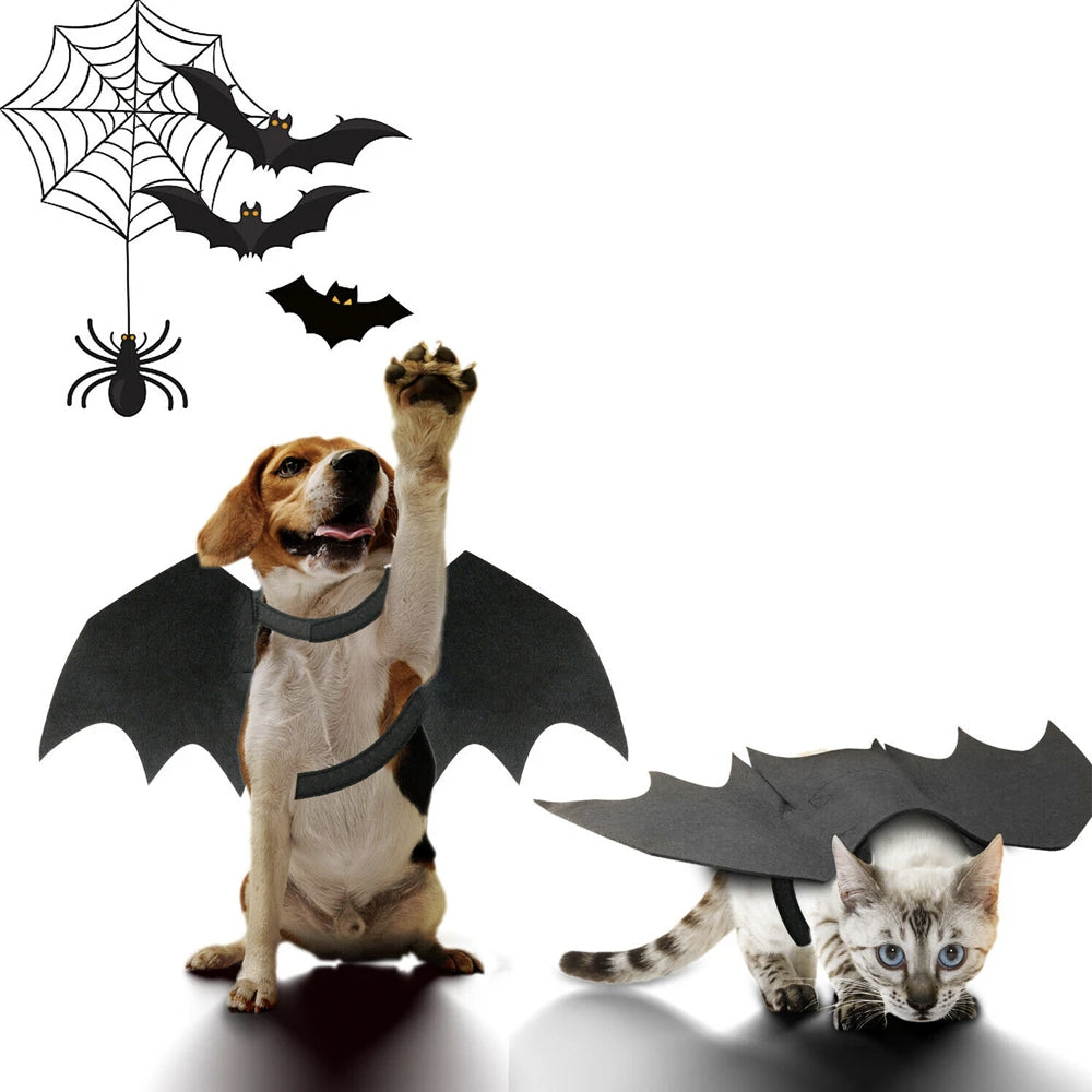 Halloween Bat Wings Costume for Cats & Dogs