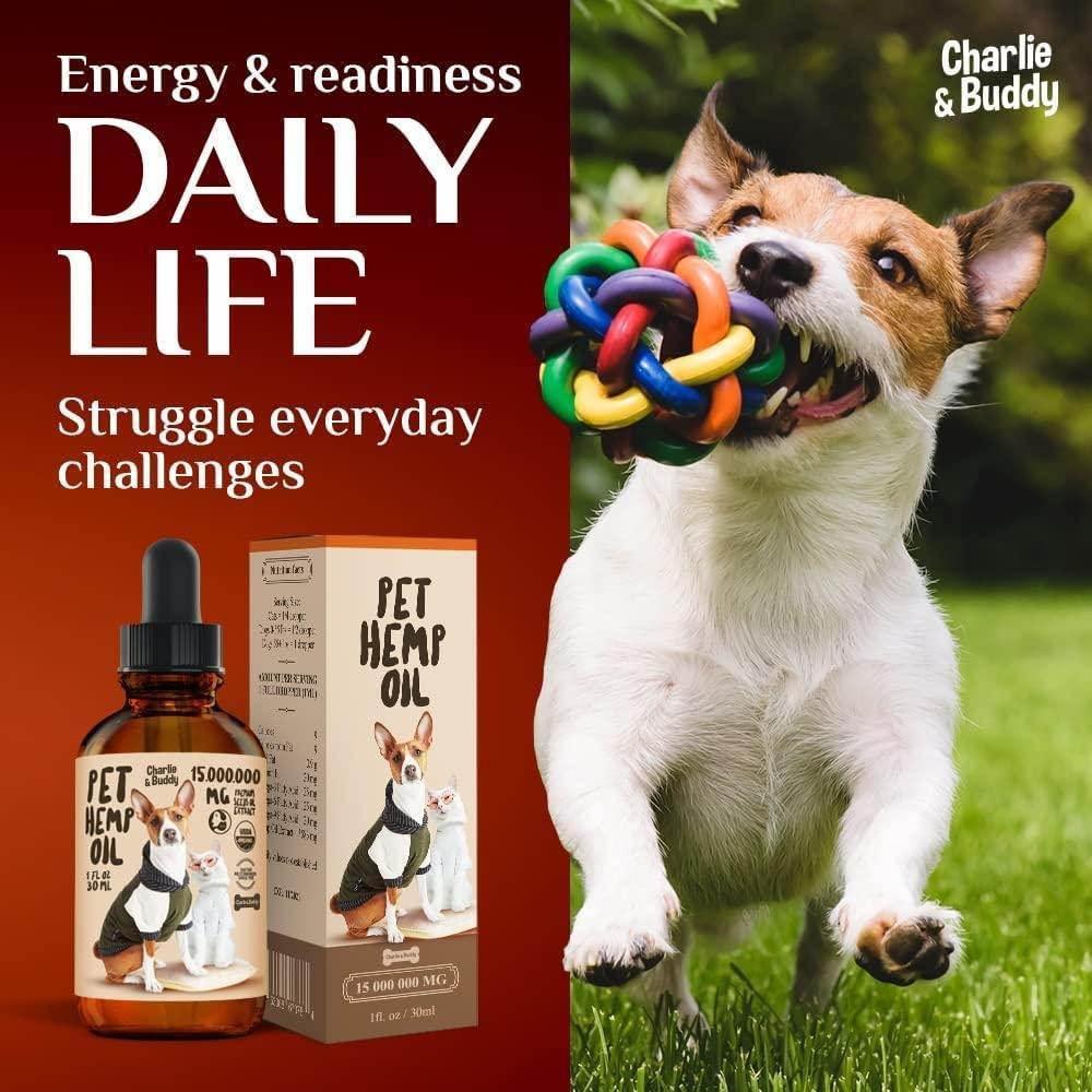 Hemp Oil for Dogs & Cats
