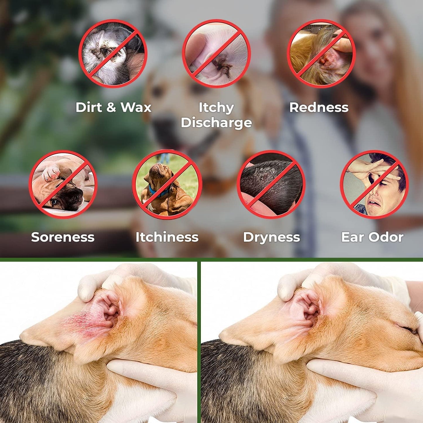 Ear Cleaner Wipes by Arava for Dogs Cats Puppies & Kittens 100