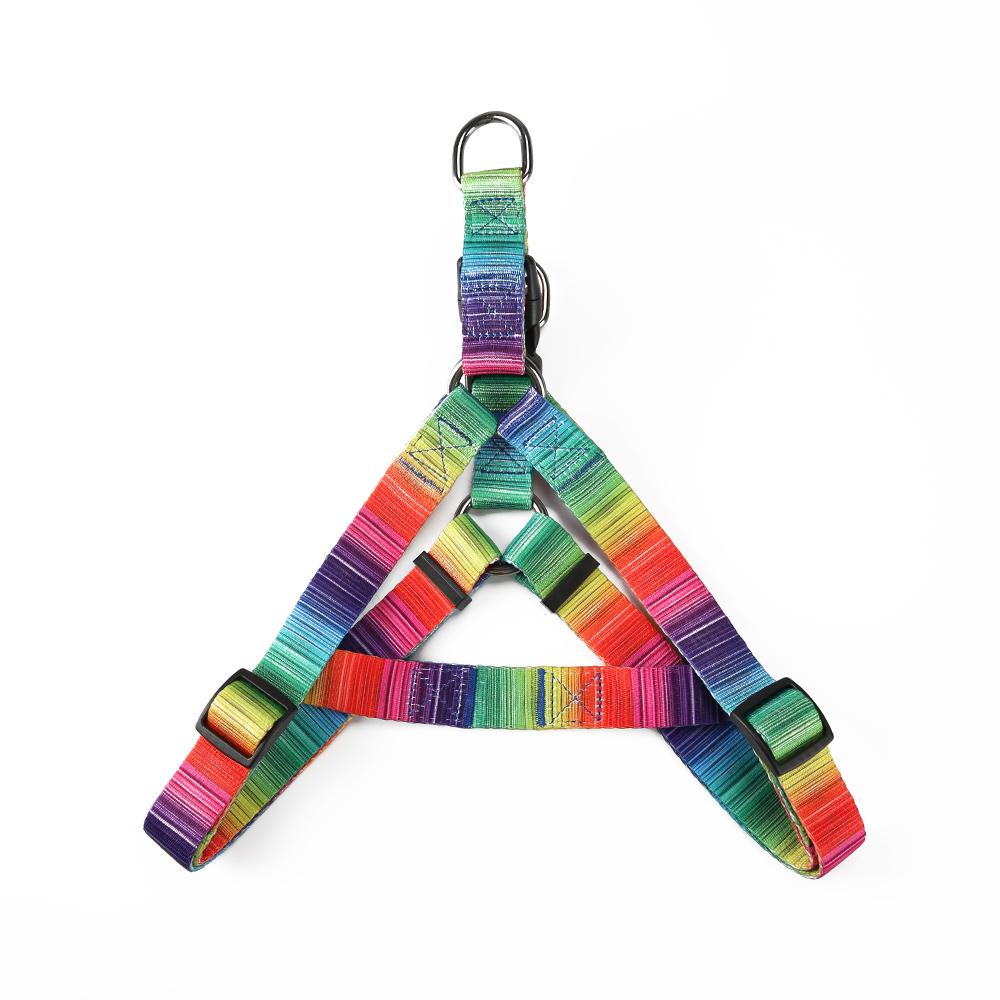 (LAST PIECES) Matching Leash & Collars Set