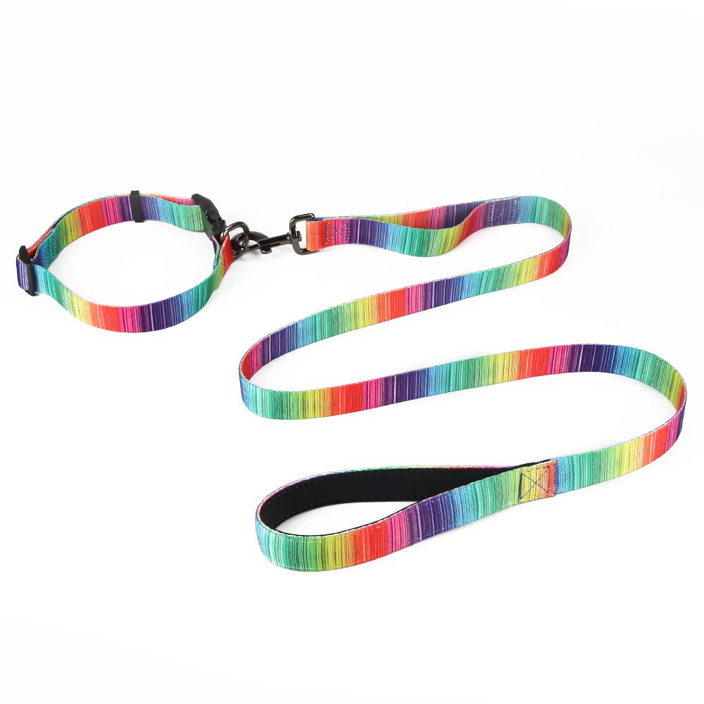 (LAST PIECES) Matching Leash & Collars Set