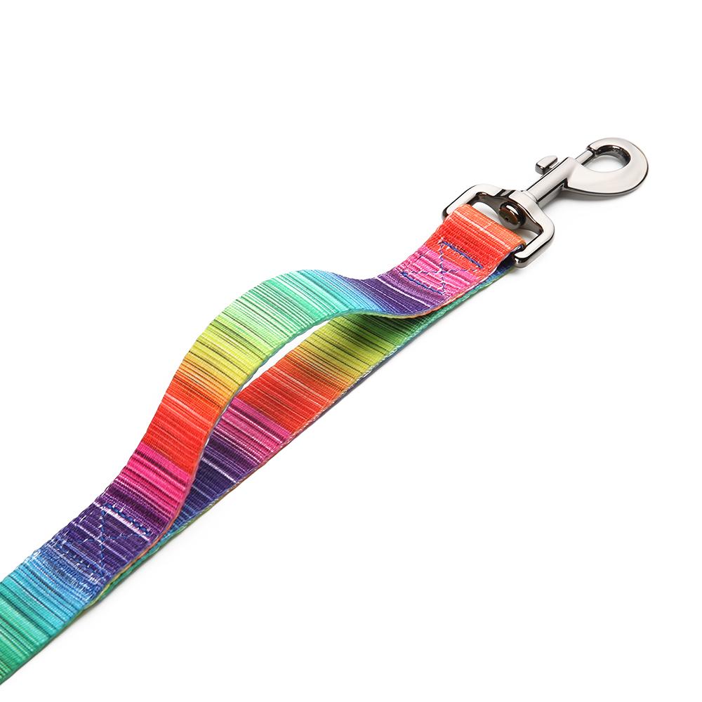 (LAST PIECES) Matching Leash & Collars Set