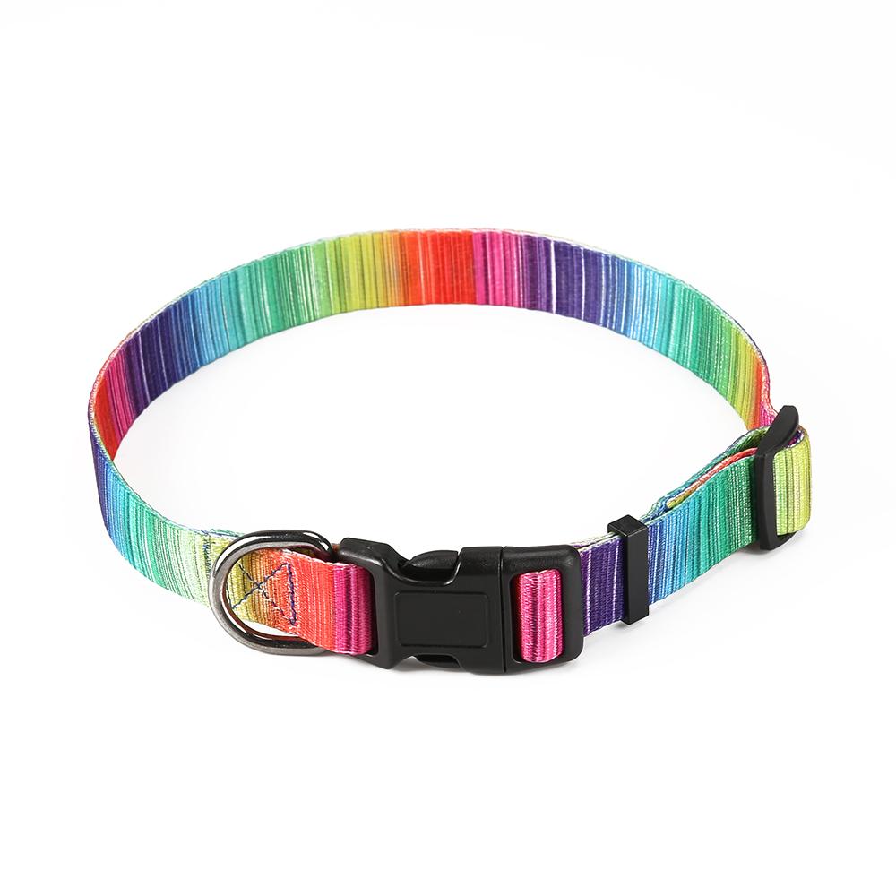 (LAST PIECES) Matching Leash & Collars Set