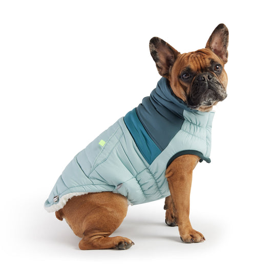Retro Puffer Dog Jacket