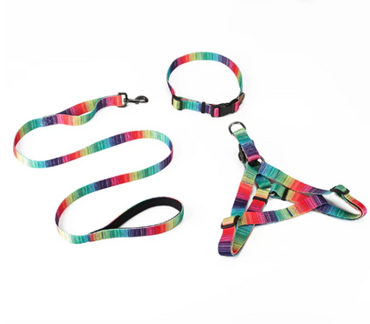 (LAST PIECES) Matching Leash & Collars Set