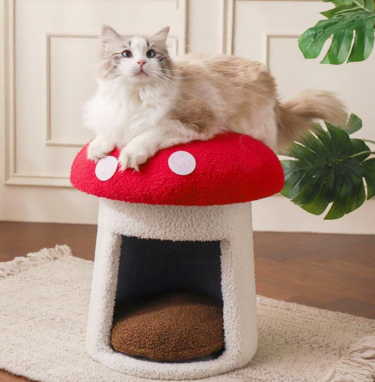 Extra Large Mushroom Cat Bed