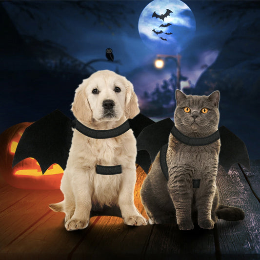Halloween Bat Wings Costume for Cats & Dogs