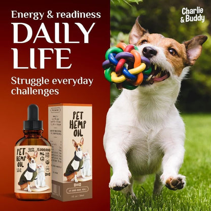 Hemp Oil for Dogs & Cats