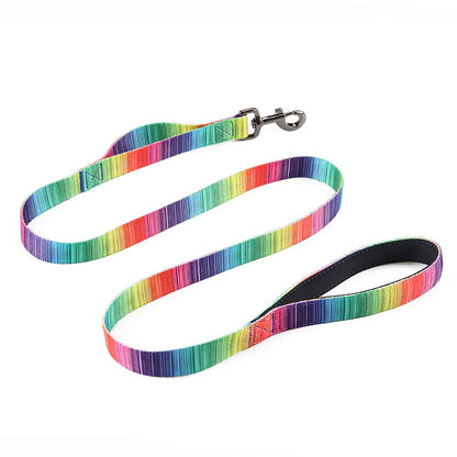 (LAST PIECES) Matching Leash & Collars Set