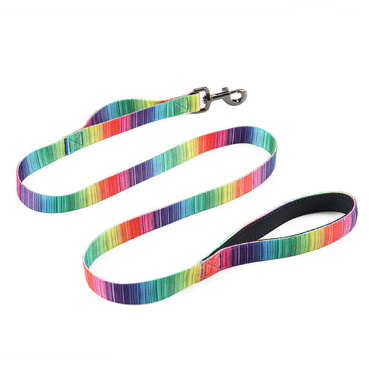 (LAST PIECES) Matching Leash & Collars Set